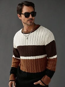 Manfinity Homme 秋冬时尚博主风格男士拼色圆领麻花针织毛衣 - 彩色 - 查看 6