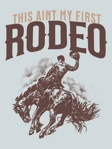 SHEIN LUNE 度假春季女装牛仔印花卫衣 - 淺灰色 - 查看 3