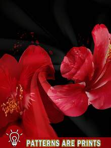 SHEIN EZwear 休闲简约系带露背紧身百搭短款上衣，适合夏季，花卉印花，适合度假、音乐节、春假、椰子女孩、女孩之旅、音乐节，适合外出