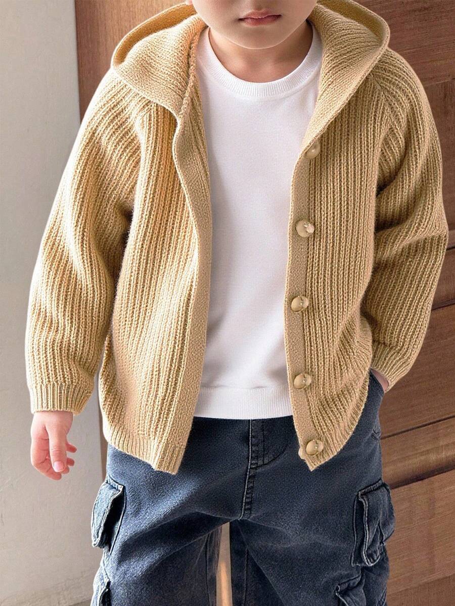 SHEIN Young Boys' Casual Versatile 3D Ear Decor Long Sleeve Hooded Cardigan,In Fall/Winter