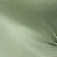 أخضر