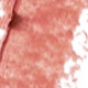 61 Blushing Coral