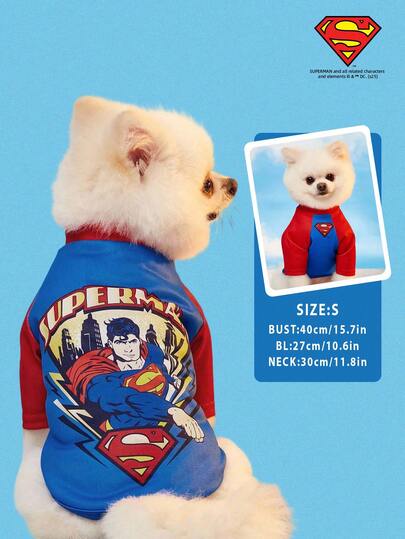 SUPERMAN X PETSIN 1 件图案印花撞色插肩袖猫狗宠物友好舒适圆领 T 恤