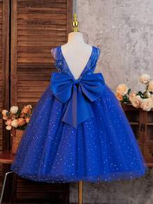 SHEIN Glamorique Kids 可愛女孩婚禮花童生日派對婚禮花童薄紗亮片刺繡花卉公主裙冬季海軍藍優雅婚禮 - 藍色 - 查看 2