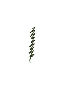Clinique Quickliner For Eyes Intense 07 Ivy 0.28 G - #07 Intense Ivy - View 2