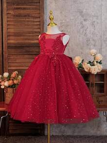SHEIN Glamorique Kids 可爱节日生日派对婚礼花童薄纱亮片刺绣花卉女童公主裙 - 酒紅色 - 查看 3