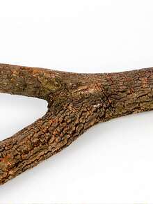 1 件/2 件木制双枝鹦鹉栖架，适合所有季节的鸟类 - 棕色 - 查看 5