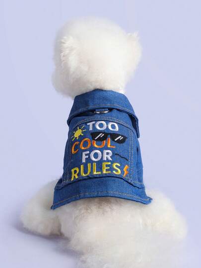 PETSIN 1 Cool Blue Jacket For Dogs In Autumn And Winter, Suitable For Cats And Dogs To Wear Embroidered Dog Clothes