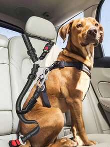1pc Pet Car Seat Belt Retractable Leash, Heavy Duty Dog Harness Seatbelt - Ideal Pet Family Essential - Black - View 3