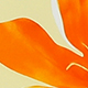 彩色