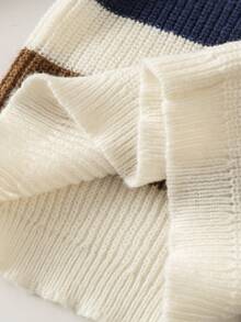 SHEIN Playful Pals Young Boy Thick Striped Knit Sweater, Long Sleeve, Autumn/Winter Fall - White - View 8