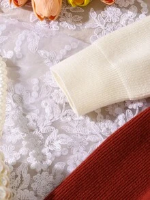 SHEIN 婴儿/女宝宝时尚刺绣荷叶边针织长袖毛衣裙，秋冬