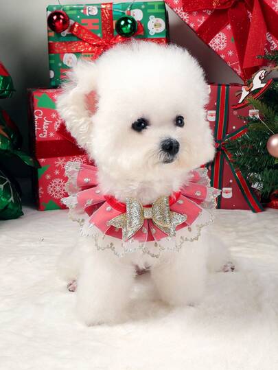 PETSIN 1pc Pet Bib, Cute Cat Dog Universal Christmas Lace Scarf Accessory