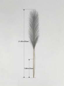 90/10/20/30 قطعة من نبات البامباس الاصطناعي، نبات اصطناعي، ديكور بوهيمي، ديكور منزلي، ديكور غرفة، حشوات للمزهريات، ديكورات زفاف، ديكورات عيد الميلاد، ديكورات ربيعية، مناسب لديكور الزفاف، خلفيات العروس، باقات الزهور، أساور الزهور، قوس الزفاف، ديكور الحفلات، تغليف الهدايا، أطباق الزهور المركزية - الأسود والأبيض والرمادي - مشاهدة 12