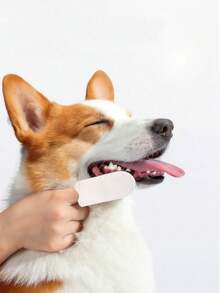 Pet Oral Cleaning Finger Covers Disposable Cats And Dogs To Remove Stones And Tartar Finger Toothbrush Factory Wholesale. - White - View 2