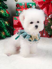 PETSIN 1 件宠物围兜，可爱猫狗通用圣诞蕾丝围巾配件 - 彩色 - 查看 11