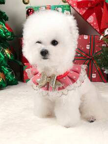 PETSIN 1 件宠物围兜，可爱猫狗通用圣诞蕾丝围巾配件 - 彩色 - 查看 10