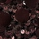 Coffee Brown