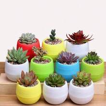 SHEIN 5/10/20 piezas Macetas mini para suculentas y plantas pequeñas, macetas intercambiables DIY con agujero de drenaje y depósito de agua, decoración de escritorio linda