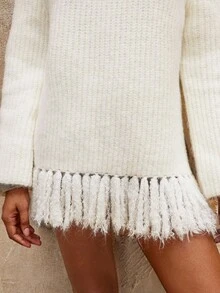 SHEIN Privé VITNOS Women's Off-White Autumn Casual Oversized Knit Sweater,Turtleneck Long Sleeve Tasseled Fringe Elegant Party Sweater For Any Occasion,Holiday - Beige - View 7