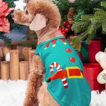 PETSIN 1 pezzo Pettorina natalizia per animali domestici con Babbo Natale e Candy Cane, colore verde
