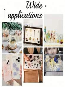 1/2 طقم ضغط زهور خشبي، حفظ عينات نباتية DIY، أكياس تجفيف ملونة للأزهار والأوراق، أدوات حرفية، ديكور هالوين، عودة إلى المدرسة، ديكور الخريف، ديكورات عيد الميلاد، ديكور الحائط، ستائر غرفة النوم