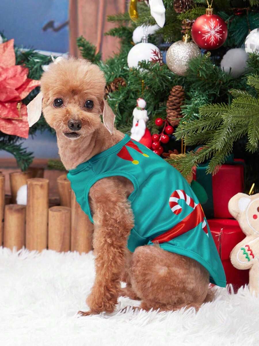 PETSIN 1 pezzo Pettorina natalizia per animali domestici con Babbo Natale e Candy Cane, colore verde