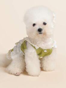 PETSIN 1件猫狗通用宠物衣服，可爱立体玫瑰花连衣裙，公主风狗狗裙 - 綠色 - 查看 6