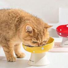 1/2个猫碗陶瓷猫食碗狗碗食盆猫碗饭碗高脚狗狗饮水碗斜口大碗宠物专用 - 彩色 - 查看 8
