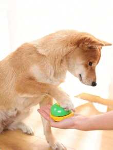 1pc Cat & Dog Training Bell, Pet Paw Print Doorbell, Teddy Puppy Feeding Bell, Dog Interactive Toys Foot-Operated Bells - Multicolor - View 4