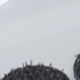 彩色