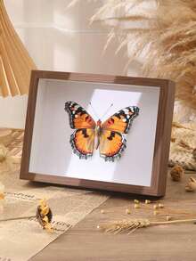 SHEIN 1 pièce Cadre photo en bois transparent Plexiglas profondeur de 3 cm Cadre creux Décoration maison DIY 6 pouces/8 pouces/A4 Cadre photo