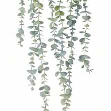SHEIN 1 pièce Plante artificielle suspendue Faux eucalyptus Plante en pot Plante suspendue pour mur, pièce, maison, intérieur, extérieur, étagère Décoration