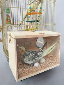 SHEIN 1 件户外花园装饰鸟舍，透明可视，颜色和款式随机，适合鹦鹉和其他中小型鸟类 - 彩色 - 查看 8