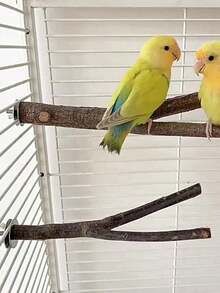 1 件手工木制耐用木制鸟栖笼 - 舒适的鸟磨棒 - 有趣的鸟类玩具和用品，重量和形状因木材差异而略有不同