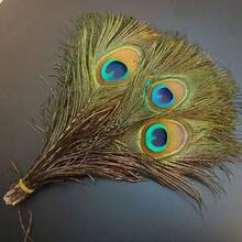 SHEIN 10/20/40 件天然孔雀羽毛，家居装饰和插花，DIY 工艺品