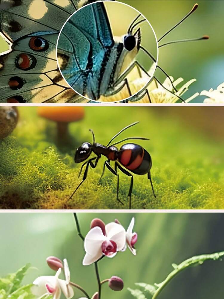 Zazumi Kids Microscope With HD Recording 1000X Magnification Portable Handheld Science Kit STEM Educational Toy For Children Age 6-12 Birthday Gift Exploration Set - Multicolor - View 3