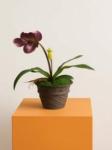 Joivida 1pc Original Design Ice Cream Cone-Shaped Ceramic Flower Pot, Creative & Exquisite Plant Pot, Stylish & High-End, Ideal For Home Décor, Outdoor Balcony Succulent Planter, Gift Present, Garden Planting Pot - Multicolor - View 1