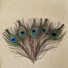 SHEIN 10/20/40 件天然孔雀羽毛，家居装饰和插花，DIY 工艺品