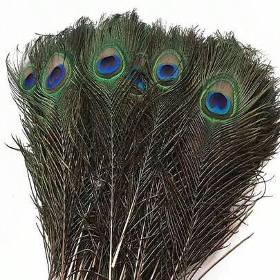 SHEIN 10/20/40 chiếc lông công tự nhiên, dùng để trang trí nhà cửa và cắm hoa, làm đồ thủ công DIY.