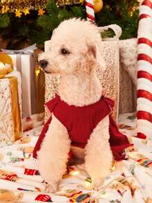 PETSIN Vestido de Natal para Cachorros Pequenos - Corduroy Vermelho com Mangas Bufantes e Decoração de Laço - Vermelho - Visão 6