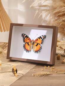 SHEIN 1 pièce Cadre photo en bois transparent Plexiglas profondeur de 3 cm Cadre creux Décoration maison DIY 6 pouces/8 pouces/A4 Cadre photo
