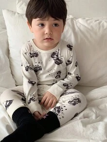 DAZY 2pcs Toddler Boys' Cartoon Panda Print Crew Neck Top And Pants Comfortable Pajama Set