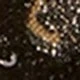 متعدد الألوان