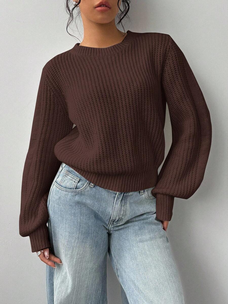 SHEIN BASICS 女士纯色圆领长袖休闲宽松针织毛衣,秋冬 - 咖啡棕 - 查看 1