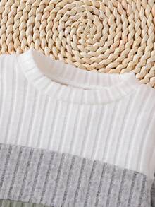 SHEIN Playful Pals 2pcs/Set Baby Boy Sage Green Autumn Modest Family Matching Outfit Colorblock Long Sleeve Sweatshirt And Solid Pants Casual Fall Winter Clothes Set - Multicolor - View 4