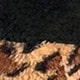 Nhiều màu