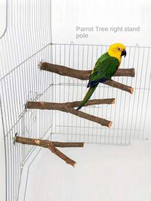 1 件手工木制耐用木制鸟栖笼 - 舒适的鸟磨棒 - 有趣的鸟类玩具和用品，重量和形状因木材差异而略有不同