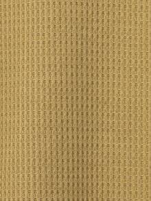 SHEIN Mirajuku Teenage (Boys) Contrast Collar Casual T-Shirt, Spring/Autumn - Brown - View 7