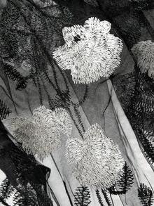 EMERY ROSE 女士时尚透明网眼钩针刺绣花卉露肩灯笼袖短款上衣 - 彩色 - 查看 5